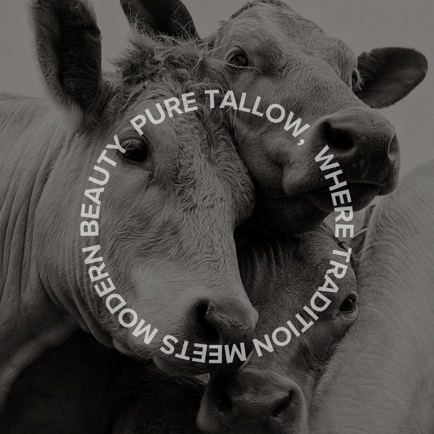 Ultra Protect SPF50 Natural Sunscreen